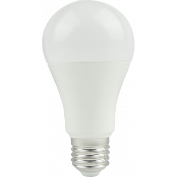 LED žárovka E27-B60-E100-WW